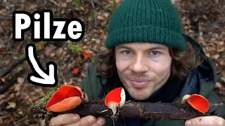 Erstaunliche Pilze und gesunde Kräuter - Verborgene Schätze finden im Winter 2023