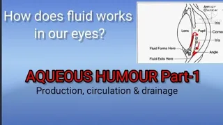 Aqueous humor ( production, circulation & drainage part 1)