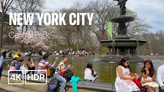 New York City Walking Tour - Central Park - Spring 2023