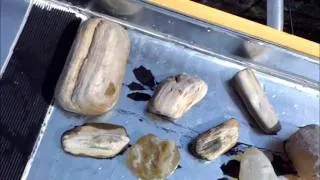 Gold Placer Geology Demonstration.wmv