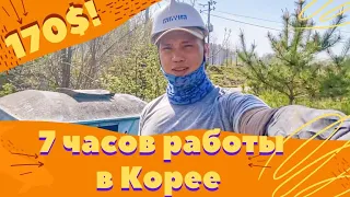 Работа в Корее. 170$ за 7 часов, не работа, а камеди клаб, взял Андрея и Рому к себе на работу