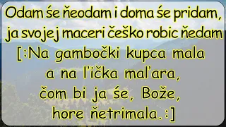 Odam še neodam text