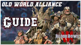 Old World Alliance Guide: Lineups, skills and tips! (Blood Bowl 3)