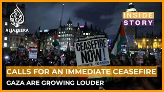Calls for an immediate ceasefire in Gaza are growing louder