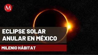 Así México se prepara para el 'eclipse anular solar' del próximo 14 de octubre | Milenio Hábitat