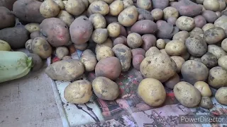 Трава☘️ и картофель 🥔