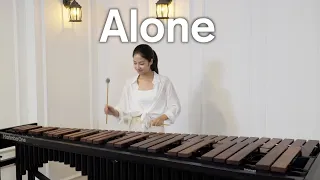 Alan Walker - Alone / Marimba cover
