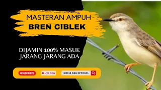 BREN CIBLEK SERAM ‼️ JAMIN JURI LANGSUNG LIRIK - CIBLEK SAWAH