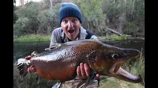 Biggest Trout in my 40 years of Fishing