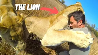 Nawo Reacts To Kevin Richardson "The Naughtiest Lion" (The Lion Whisperer) | Nawo