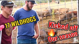 17 WILD HOGS Kicks off Our season of trapping!