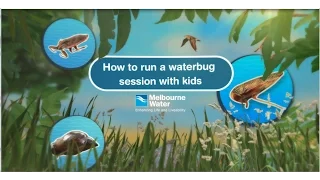 Exploring the world of waterbugs with students