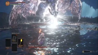 SL1 NG+7 Torch Kills - Darkeater Midir