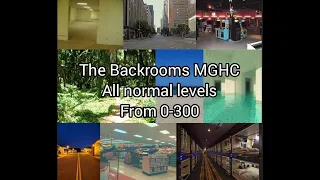 Every normal level of the backrooms MGHC (Levels 0-300)