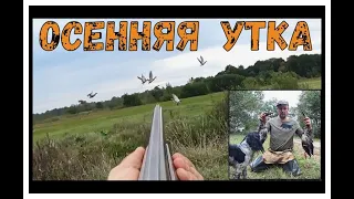 Осенняя ОХОТА на УТКУ! ТОЗ 34 и Брик.