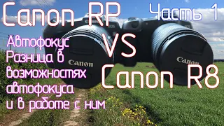 Canon RP VS Canon R8. Часть 1. Автофокус. Разница в возможностях автофокуса и в работе с ним.