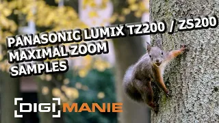 Panasonic Lumix TZ200 (ZS200) Maximal Zoom Photo Samples