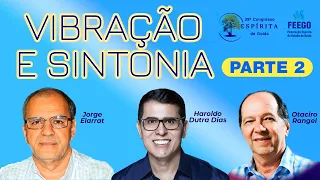Vibração e sintonia - Haroldo Dutra Dias, Jorge Elarrat e Otaciro Rangel - PARTE 2