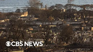Biggest medical needs in Hawaii and how you can help after devastating fires