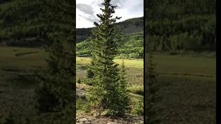 South San Juan Wilderness, Evening