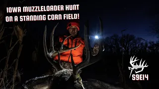 IOWA Muzzleloader Deer Hunt On A Standing Corn Field