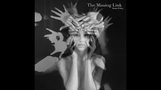 The Missing Link 2007 #432hz #remastered #remix