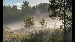 Про маму сиротская песня под гармонь