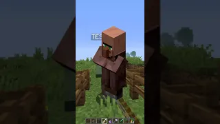 Cosas que no sabías del Aldeano - Minecraft