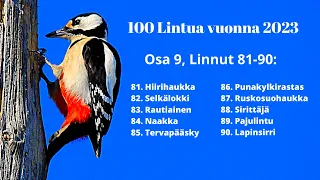 100 Lintulajia 2023, Osa 9, (Linnut 81-90)