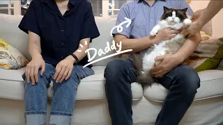 [Episode 2] Can I Distinguish Similar-looking Cats Just by Touching? with Daddy