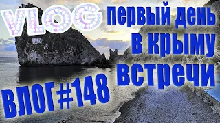 VLOG #148 Встреча с Димой Ильей Апполинарией и котиками / Влог из Крыма