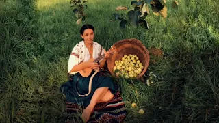 «Висить ябко висить» Іванка Червінська  ( live )