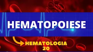 HEMATOPOIESE - HEMATOLOGIA - AULA 20