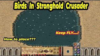 How To Place Birds In Stronghold Crusader (Birds) | Stronghold Crusader Tips and Tricks