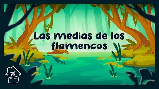 "Las medias de los flamencos" de Horacio Quiroga | CUENTO ANIMADO