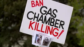 Protest calls to ban gas chambers at Utah animal shelter