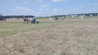 Amish pony races b&b farms Bryant IN 3/3