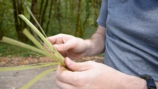 Make Cordage from Blackberry Brambles