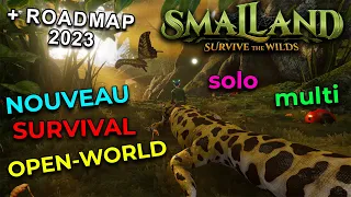 SMALLAND - Survival Open-World : Présentation & Roadmap [FR]