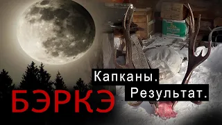 Капканы. Результат.