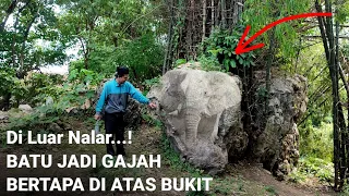 Batu jadi gajah bertapa ratusan tahun di atas bukit