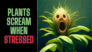 Plants Scream When Stressed - Frequency of Around 20 Kilohertz