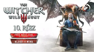 The Witcher 3: Wild Hunt - Blood and Wine (PC - Steam - Next-Gen - MAGYAR FELIRAT - Hard) #10