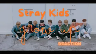 Stray Kids "Grow Up (잘 하고 있어)" M/V *REACTION*