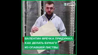 Украинец создал бумагу из опавших листьев: как работает технология будущего