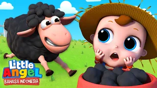 Domba Hitam | Baa Baa Black Sheep - Lagu Anak  | Little Angel Bahasa Indonesia