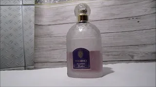 Insolence Eau de Parfum (Guerlain). Часть 2. Аромат