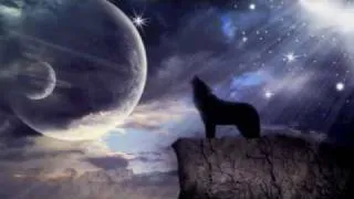 Howling Wolves of The Night