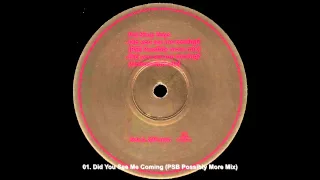 Pet Shop Boys - Did You See Me Coming (PSB Possibly More Mix)