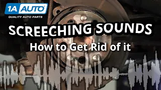 Screeching Sound When Braking in Reverse? Simple Steps to Get Rid of the Noise in Your Car or Truck